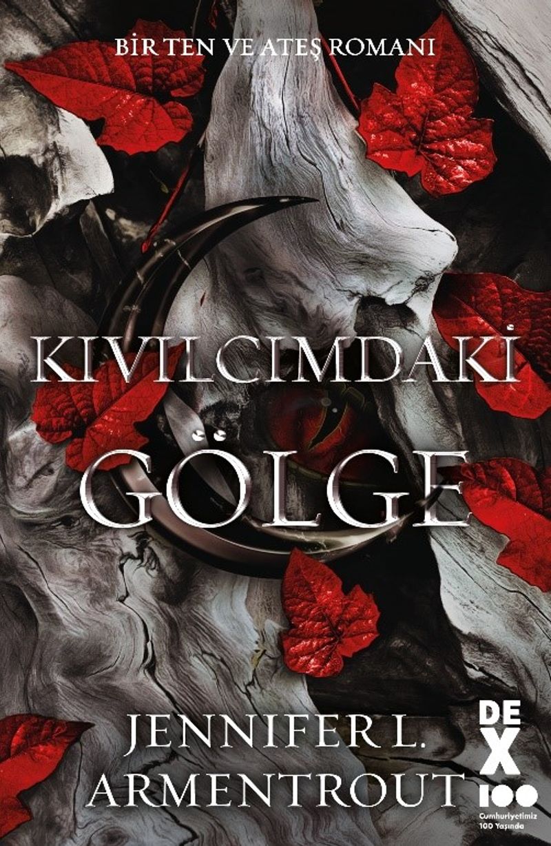 Kıvılcımdaki Gölge kitap kapağı