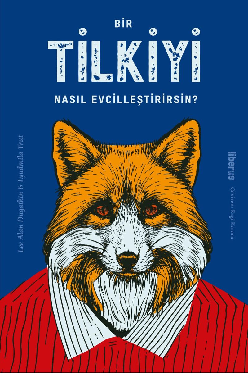 Bir Tilkiyi Nasıl Evcilleştirirsin? kitap kapağı