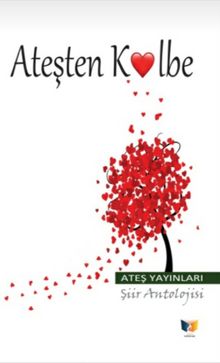 Ateşten Kalbe kitap kapağı