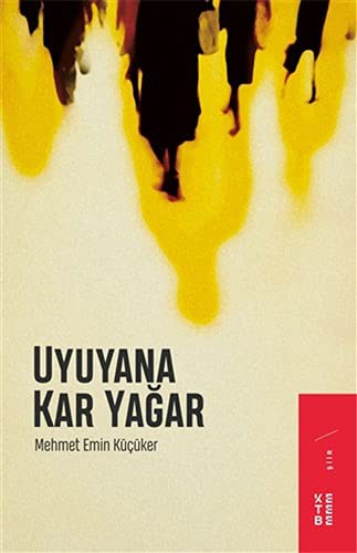 Uyuyana Kar Yağar kitap kapağı