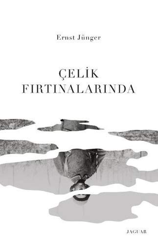Çelik Fırtınalarında kitap kapağı