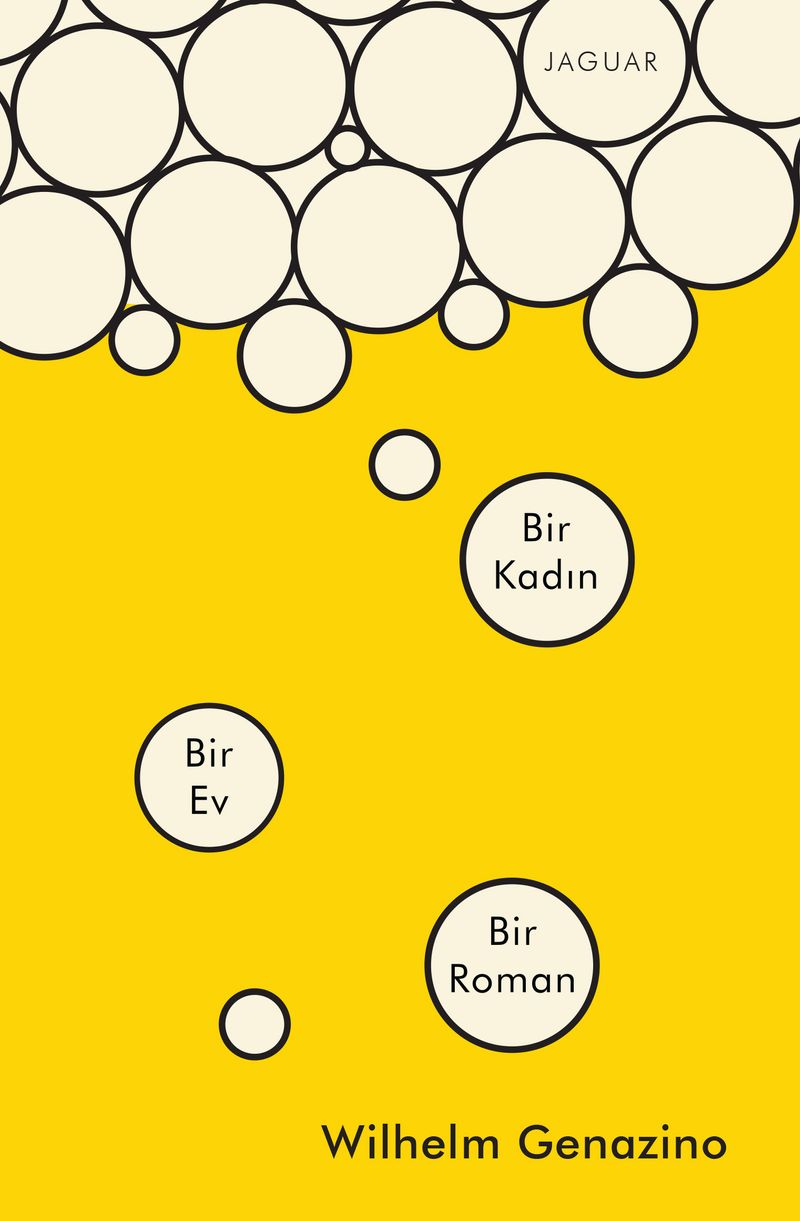 Bir Kadın Bir Ev Bir Roman kitap kapağı