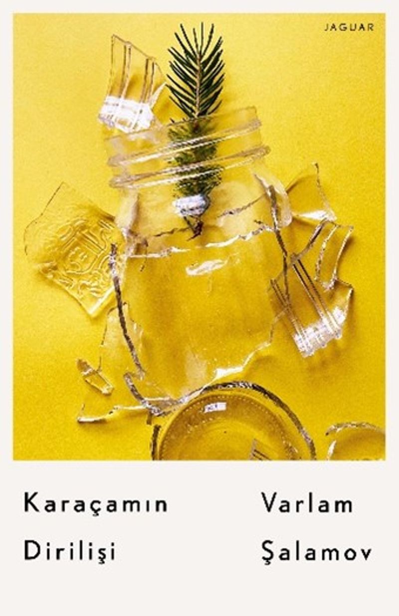 Karaçamın Dirilişi kitap kapağı
