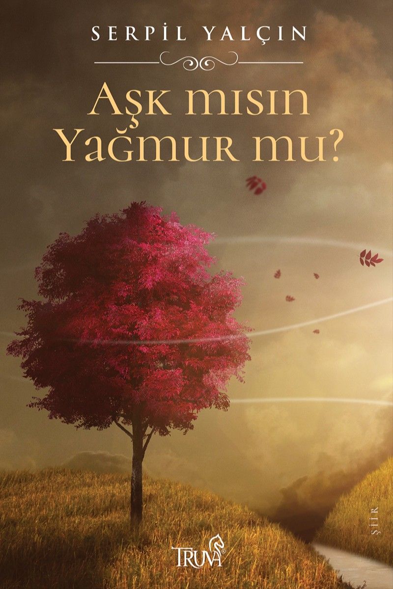 Aşk mısın Yağmur mu? kitap kapağı