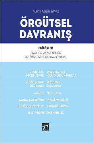 Farklı Boyutlarıyla Örgütsel Davranış kitap kapağı