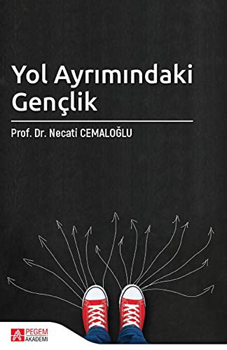 Yol Ayrımındaki Gençlik kitap kapağı