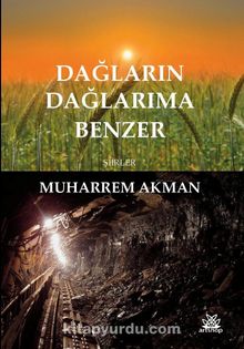 Dağların Dağlarıma Benzer kitap kapağı