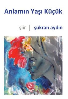 Anlamın Yaşı Küçük kitap kapağı