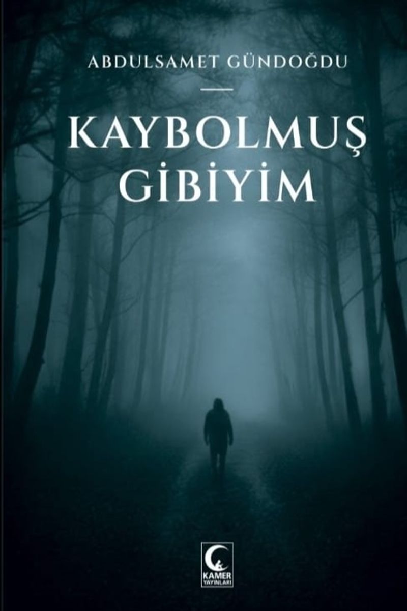 Kaybolmuş Gibiyim kitap kapağı