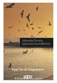 Aklımdan Geçirip Ağzımdan Kaçırdıklarım kitap kapağı