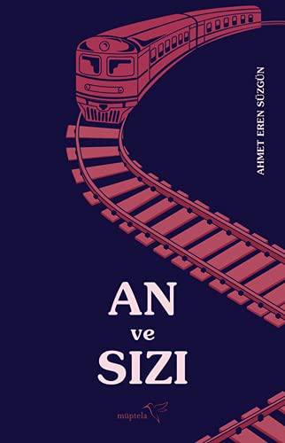 An ve Sızı kitap kapağı