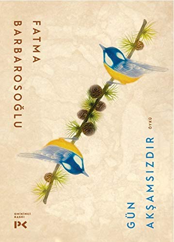Gün Akşamsızdır kitap kapağı