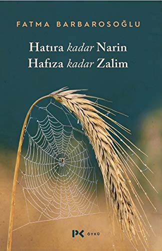 Hatıra Kadar Narin Hafıza Kadar Zalim kitap kapağı