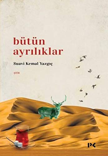 Bütün Ayrılıklar kitap kapağı