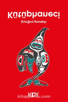 Kütüphaneci kitap kapağı