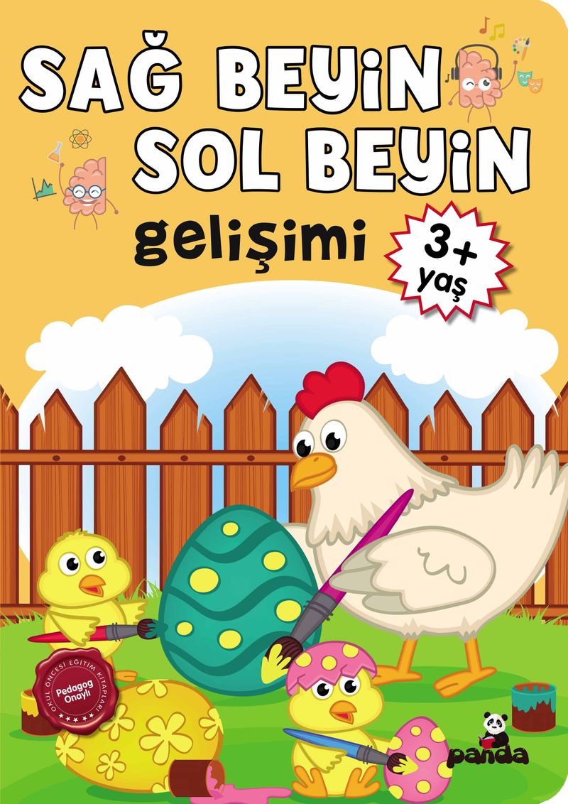 Sağ Beyin-Sol Beyin Gelişimi (3+ Yaş) kitap kapağı