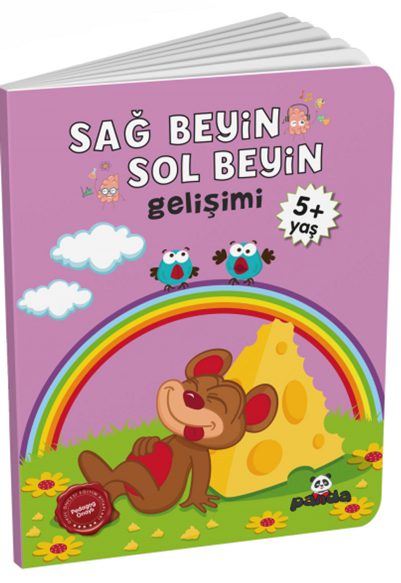 Sağ Beyin-Sol Beyin Gelişimi (5+ Yaş) kitap kapağı