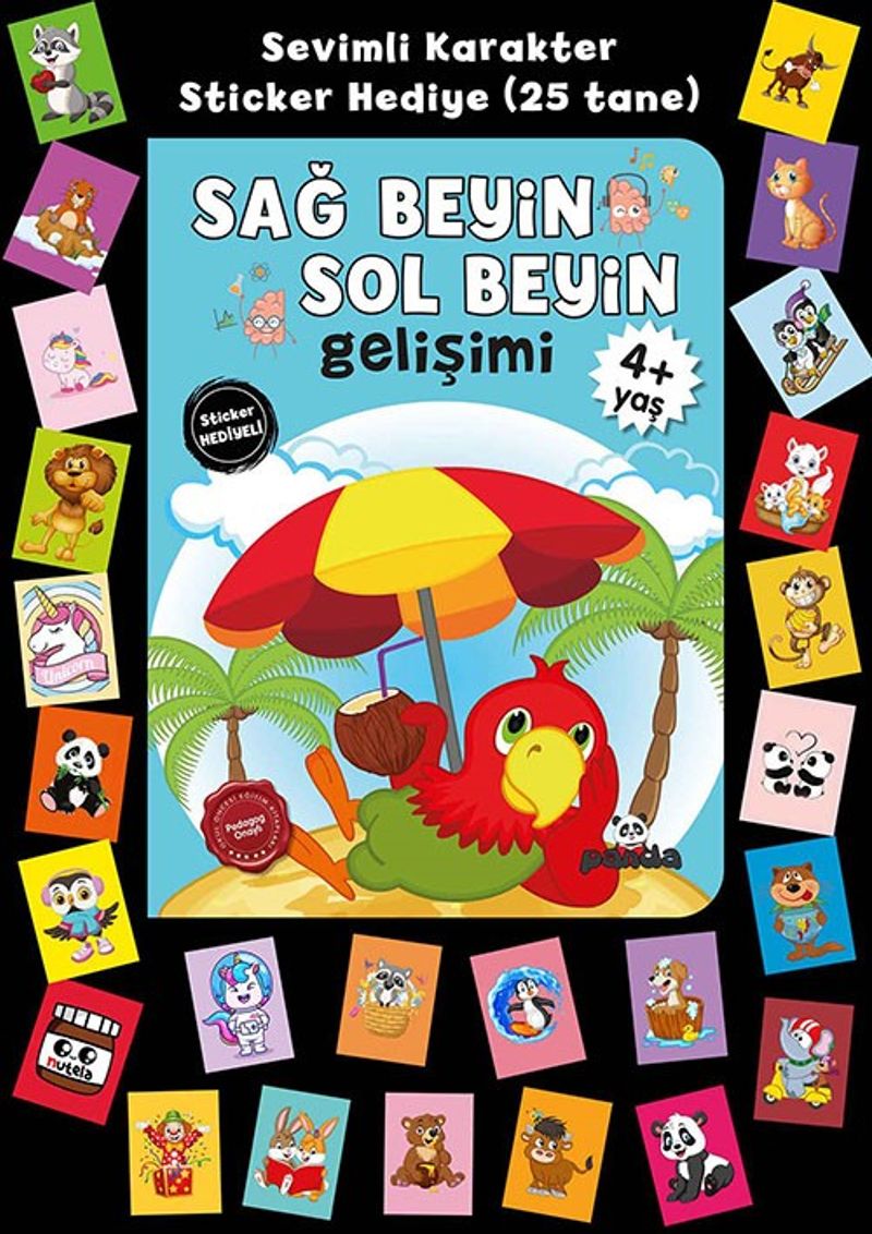 Stickerlı 4+ Yaş Sağ Beyin Sol Beyin Gelişimi kitap kapağı