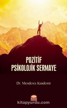 Pozitif Psikolojik Sermaye kitap kapağı