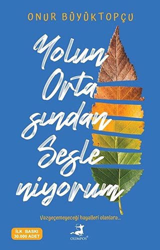 Yolun Ortasından Sesleniyorum kitap kapağı
