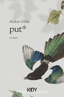 Put kitap kapağı