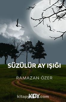 Süzülür Ay Işığı kitap kapağı
