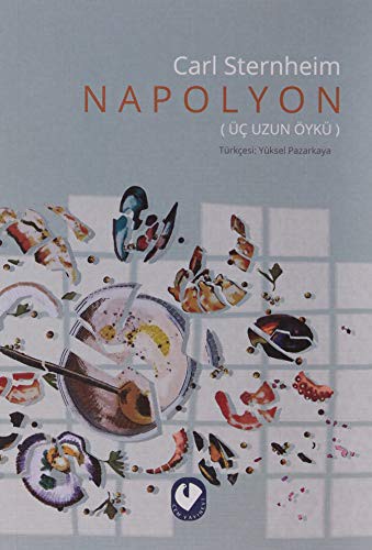 Napolyon kitap kapağı