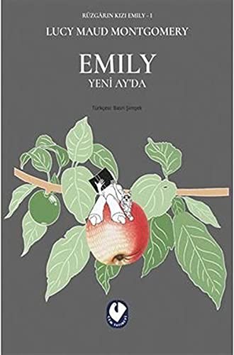 Rüzgarın Kızı Emily - I  & Emily Yeni Ay’da kitap kapağı
