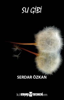 Su Gibi kitap kapağı