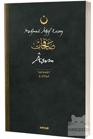 Asım Safahat 6. Kitap kitap kapağı