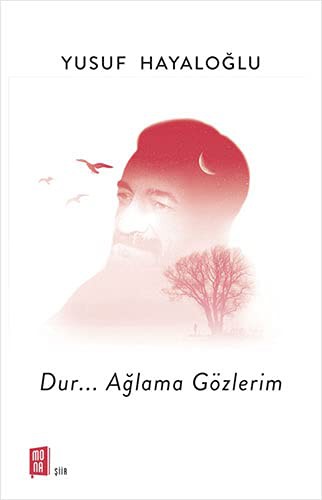 Dur…Ağlama Gözlerim kitap kapağı