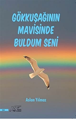 Gökkuşağının Mavisinde Buldum Seni kitap kapağı