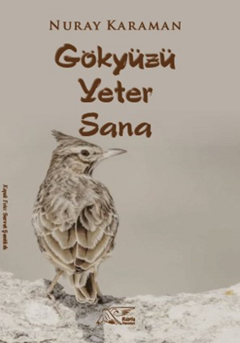 Göktüzü Yeter Sana kitap kapağı