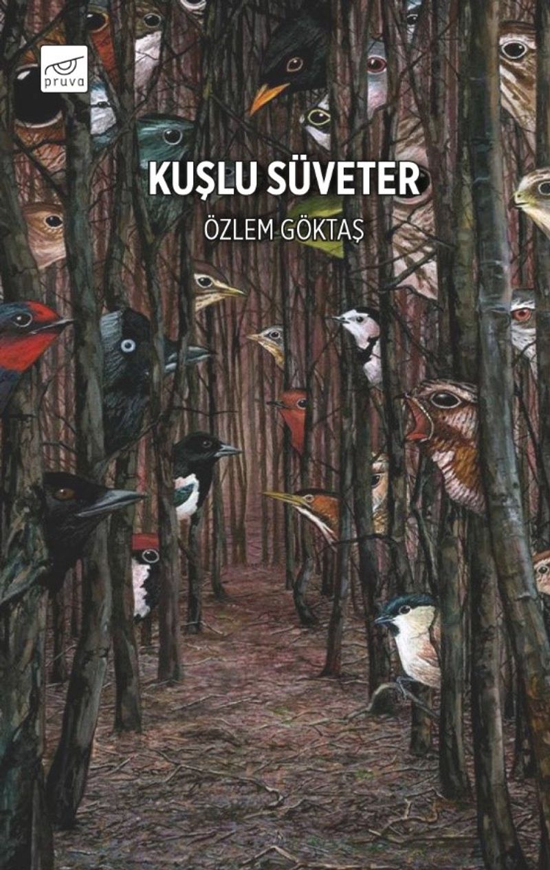 Kuşlu Süveter kitap kapağı