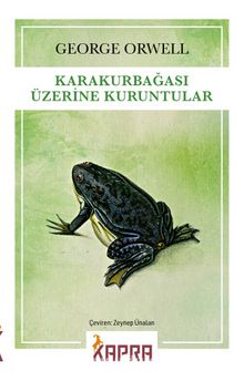 Karakurbağası Üzerine Kuruntular kitap kapağı