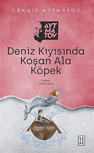 Deniz Kıyısında Koşan Ala Köpek kitap kapağı