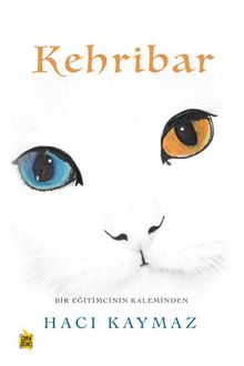 Kehribar kitap kapağı