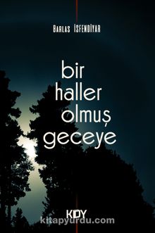 Bir Haller Olmuş Geceye kitap kapağı