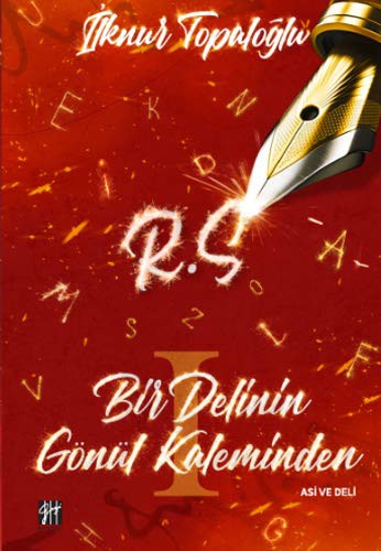 Bir Delinin Gönül Kaleminden kitap kapağı