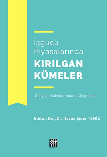İşgücü Piyasalarında Kırılgan Kümeler kitap kapağı