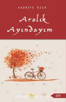 Aralık Ayındayım kitap kapağı