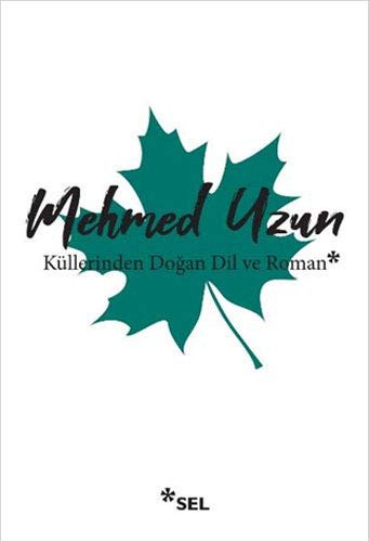 Küllerinden Doğan Dil ve Roman kitap kapağı