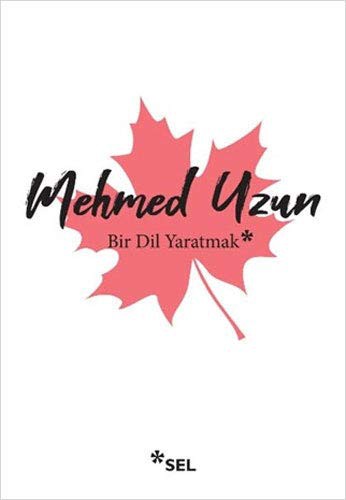 Bir Dil Yaratmak kitap kapağı
