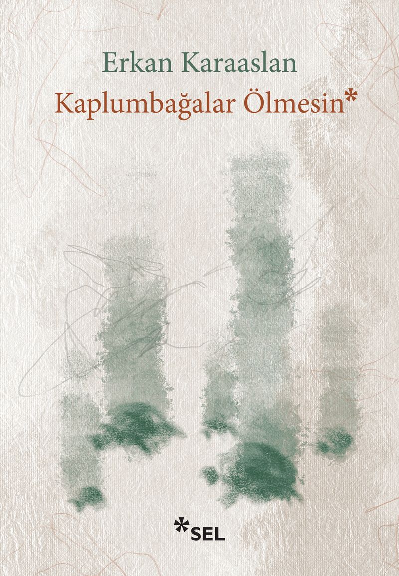 Kaplumbağalar Ölmesin kitap kapağı