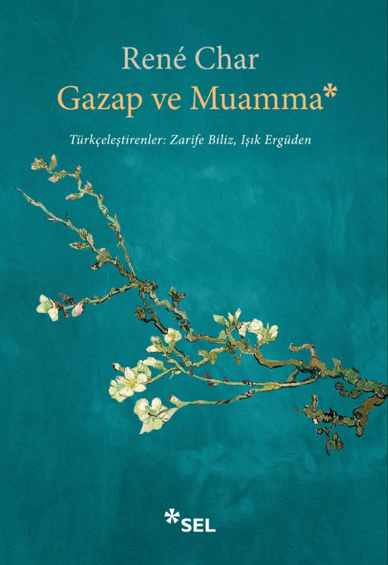 Gazap ve Muamma kitap kapağı