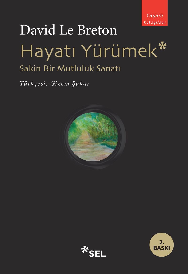 Hayatı Yürümek: Sakin Bir Mutluluk Sanatı kitap kapağı