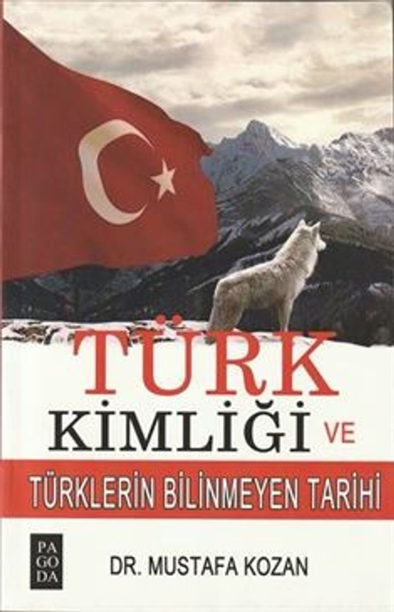 Türk Kimliği ve Türklerin Bilinmeyen Tarihi kitap kapağı
