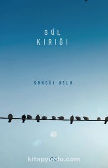 Gül Kırığı kitap kapağı