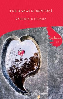 Tek Kanatlı Senfoni kitap kapağı