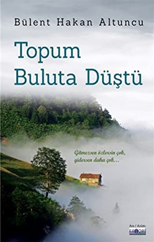 Topum Buluta Düştü kitap kapağı